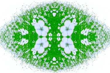 Antinatural 37