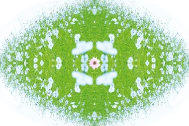 Antinatural 37