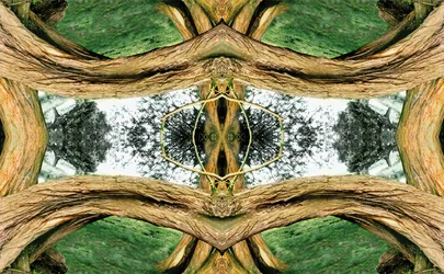Antinatural 37