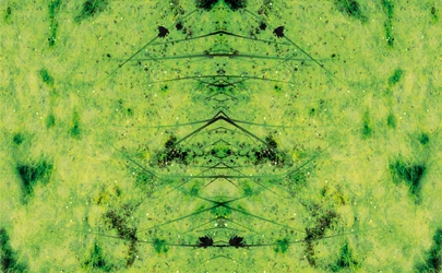 Antinatural 3