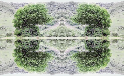 Antinatural 40