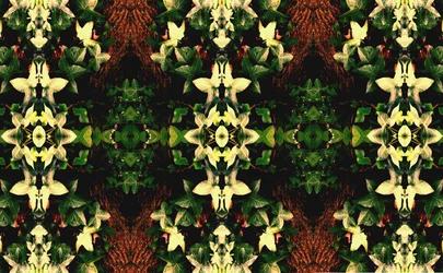 Antinatural 43