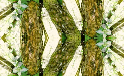 Antinatural 45