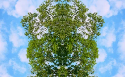 Antinatural 46