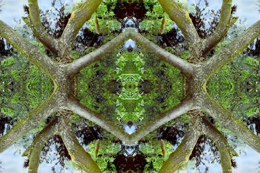 Antinatural 65.2