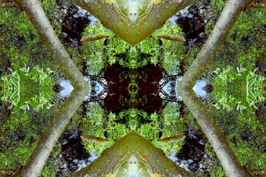 Antinatural 65.3