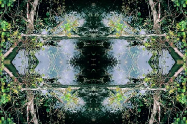 Antinatural 73