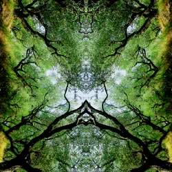 Antinatural 75