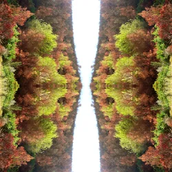 Antinatural 77