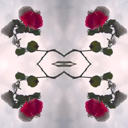 Antinatural 80