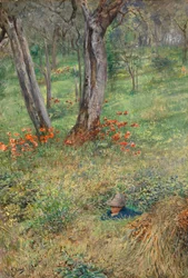 Un escondite en el bosque