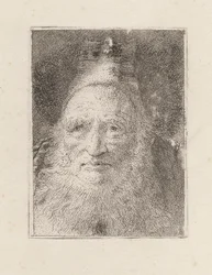 Anciano barbudo con sombrero, de la Raccolta di Teste (Colección de cabezas)