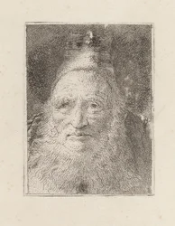 Anciano barbudo con sombrero, de la Raccolta di Teste (Colección de cabezas)