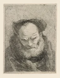 Anciano con barba, de la Raccolta di Teste (Colección de cabezas)
