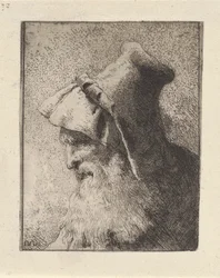 Perfil de un anciano con barba, de la Raccolta di Teste (Colección de cabezas)
