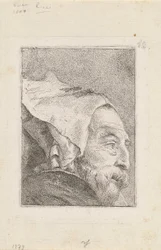 Perfil de un anciano, de la Raccolta di Teste (Colección de cabezas)