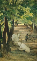 Avenida con bueyes y rompedor de piedras, por Giovanni Fattori (1825-1908)