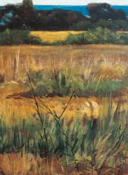Italia, Florencia, Maremma Toscana, circa 1894 (detalle)