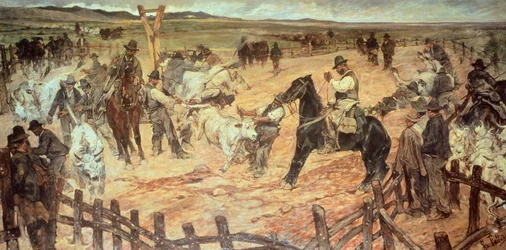 Marcado de toros jóvenes en Maremma
