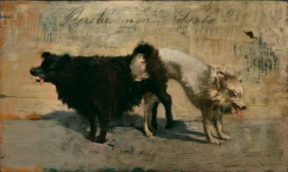 ¿Por qué no decirlo?