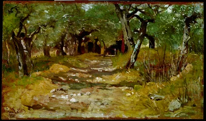 El camino entre los olivos. Pintura de Giovanni Fattori (1825-1908) 1890-1900. Florencia, Galleria d