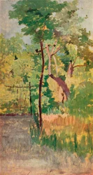 Árbol y sendero de madera, siglo XIX