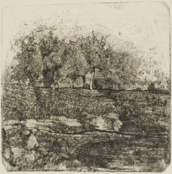 Árboles en un prado