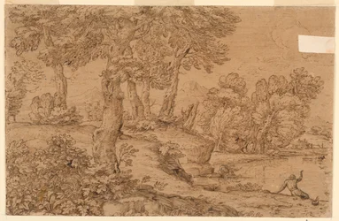 Paisaje boscoso con un estanque