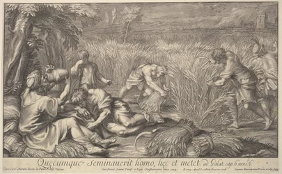 Segadores de grano, 1704