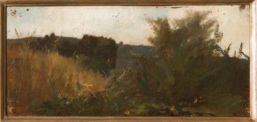 Estudio de vegetación (pintura al óleo sobre tabla)