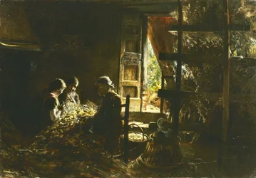 La raccolta dei bozzoli