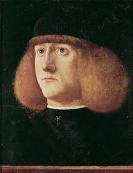 Retrato de un joven por Giovanni di Niccolo Mansueti, c. 1500