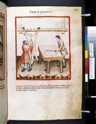 Theatrum sanitatis de Ububchasym de Baldach: "Adeps et Pinguedo", primera década del siglo XIV (miniatura)