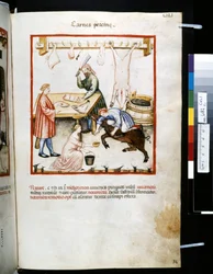 Theatrum sanitatis de Ububchasym de Baldach: "Carnes Porcinae", primera década del siglo XIV (miniatura)