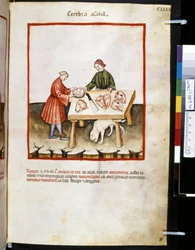 Theatrum sanitatis de Ububchasym de Baldach: Cerebra Animalium", primera década del siglo XIV (miniatura)