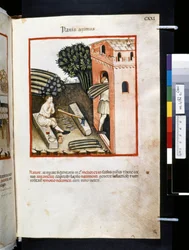 Theatrum sanitatis de Ububchasym de Baldach: "Panis Azimus", primera década del siglo XIV (miniatura)