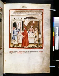 Theatrum sanitatis de Ububchasym de Baldach: "Ubera", primera década del siglo XIV (miniatura)