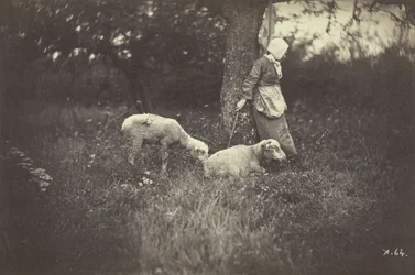 Pastora apoyada en un árbol, con dos ovejas, 1870