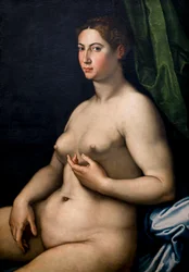 Retrato de una mujer. Siglo XVI (Óleo sobre lienzo)
