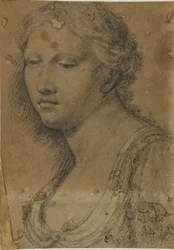 Busto de Mujer