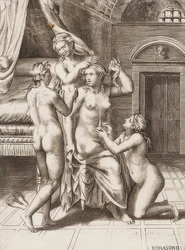 Venus adornada por las Gracias