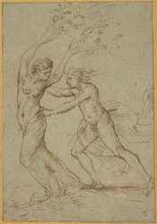 Apolo y Dafne (pluma y tinta marrón sobre papel verjurado azul)