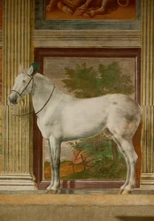 La Sala de los Caballos con pinturas murales de los caballos favoritos de Federico II Gonzaga (fresco)
