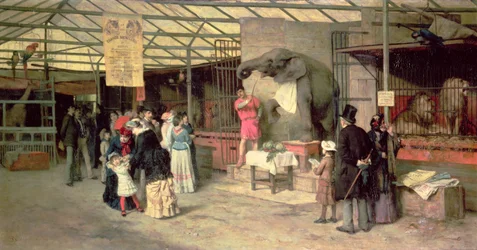 En el zoológico