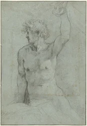 Estudio de desnudo de un joven sentado