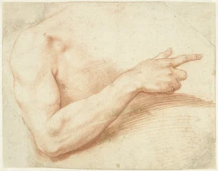 Estudio de un brazo