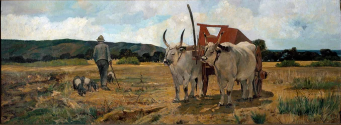 Paisaje en Maremma