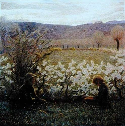 Campo en flor