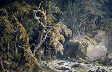 Paisaje rocoso con árboles arrancados, por Giuseppe Pietro Bagetti (1764-1831)