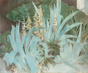 Cacto (óleo sobre lienzo)